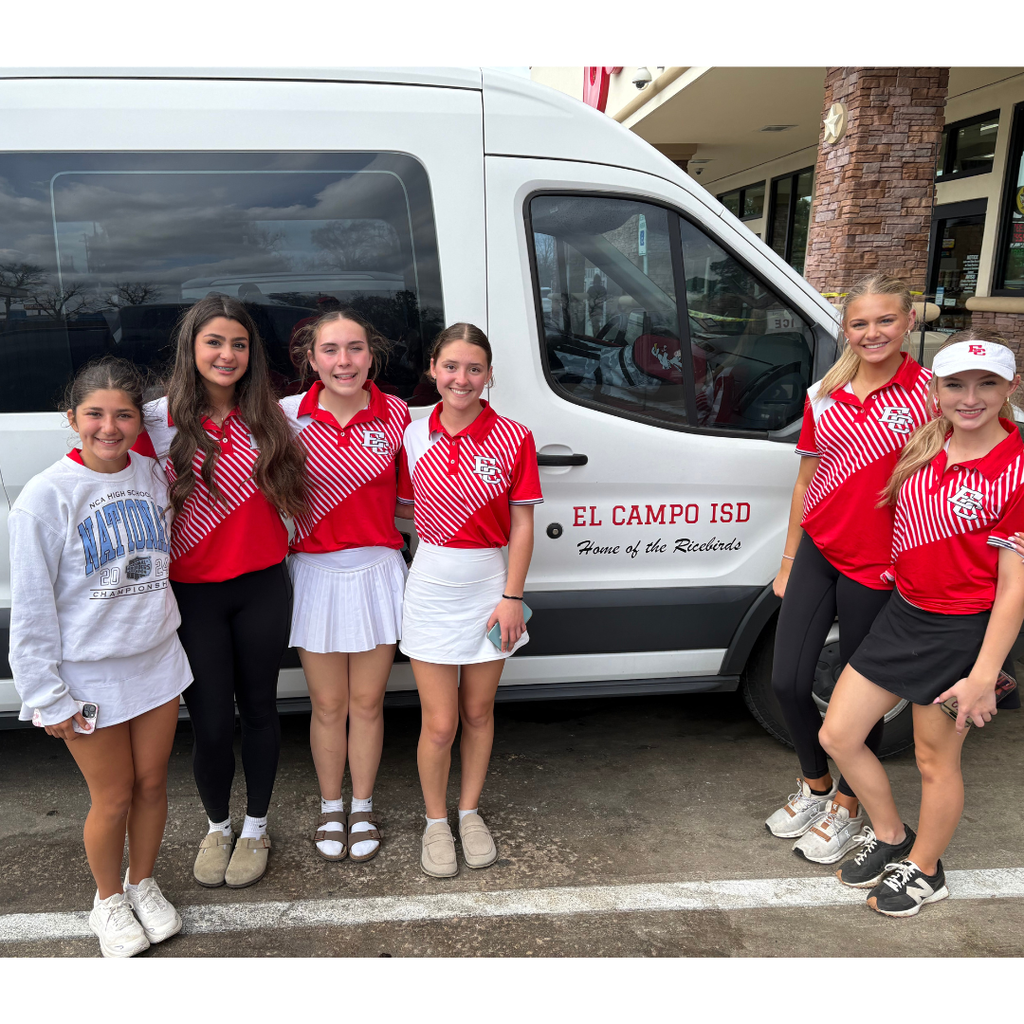 6 ladybirds in golf uniforms