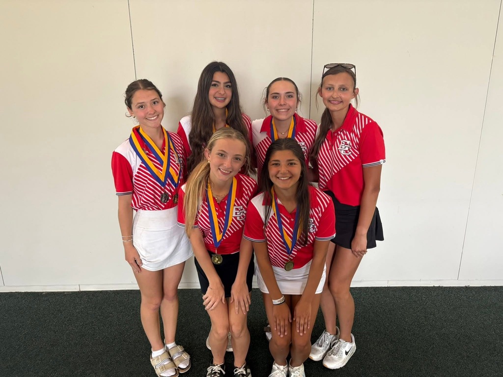 6 ladybirds in golf uniforms and wearing medals