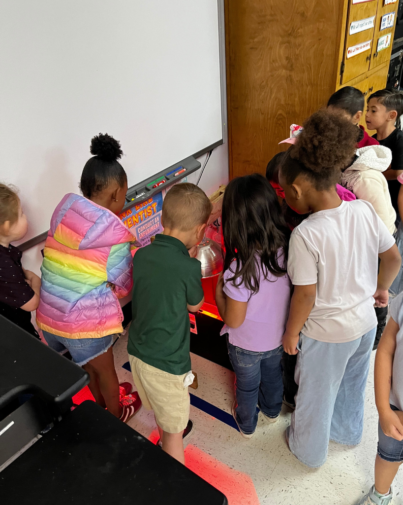 group of elementary students gathered around a table in a science lab, curiously observing chicks in a brooder.