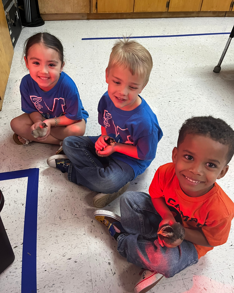 Three young students sitting on the floor of a classroom, smiling and carefully holding small, newly hatched yellow chicks.