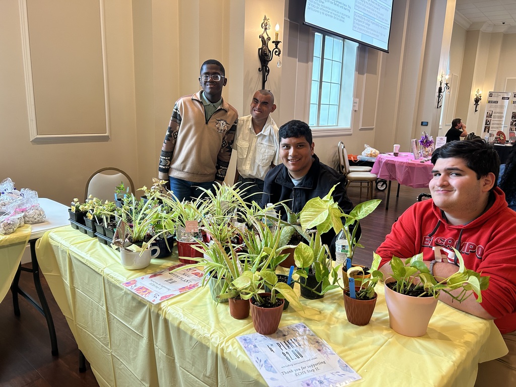 4 boys at a table selling plants