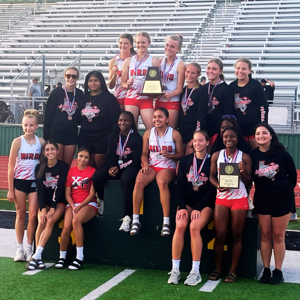 ladybirds on podium with medals and plaques