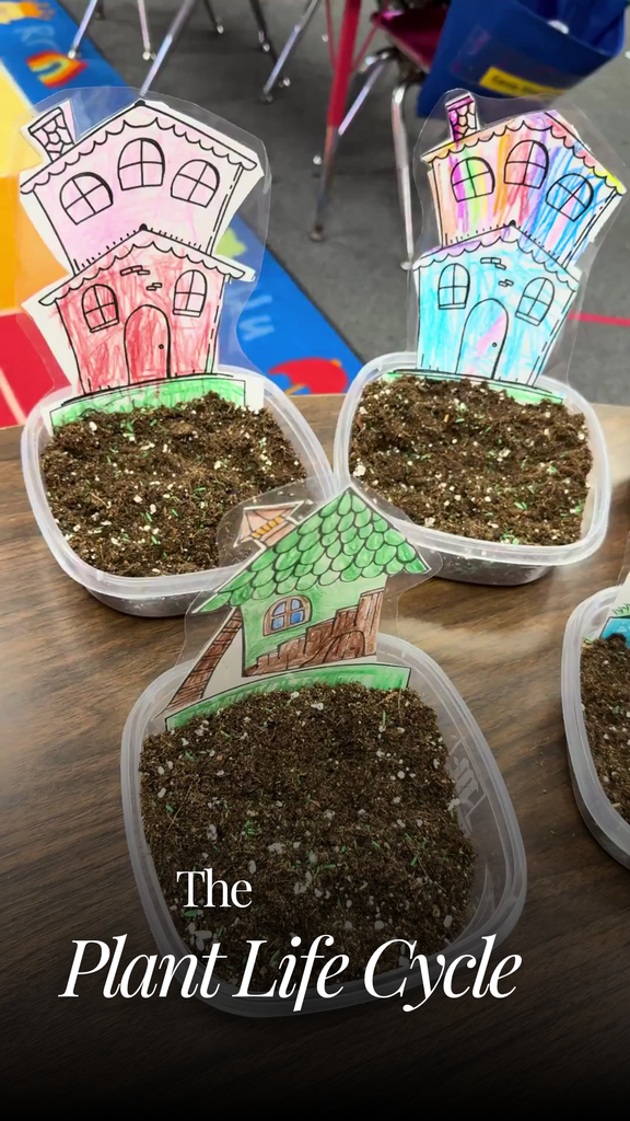 Four small plastic containers filled with soil are arranged on a classroom table. Each container has a hand-colored paper house on a stick poked into the dirt. The text overlay on the image reads "The Plant Life Cycle."