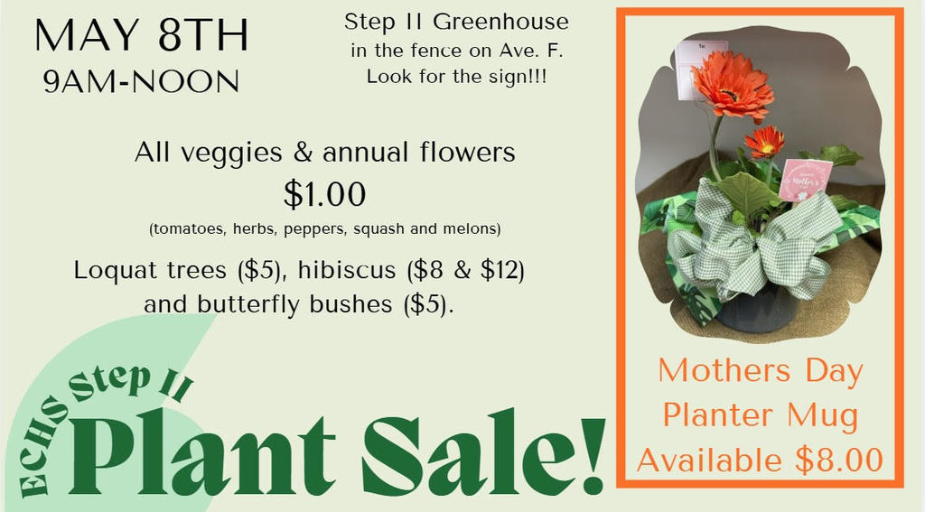 Promotional flyer for the ECHS Step II Plant Sale. The text announces the sale on May 8th from 9 AM to Noon at the Step II Greenhouse on Ave. F. It lists veggies and annual flowers for $1.00, Loquat trees and butterfly bushes for $5.00, and hibiscus for $8.00 and $12.00. A featured photo shows a Mother's Day planter mug with orange flowers and a green ribbon available for $8.00.