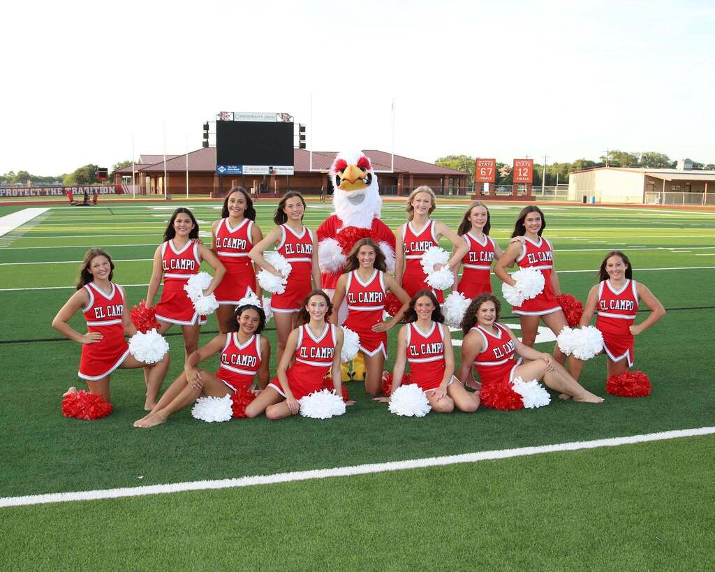 cheerleaders and mascot on football field