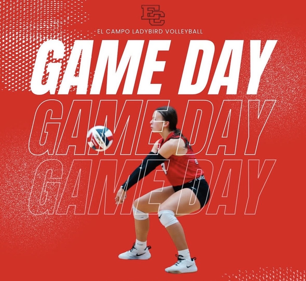 ladybird volleyball game day featuring merta bumping a ball