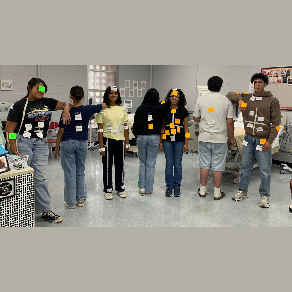 seven high school students in a classroom pose together while wearing labels on their clothing to identify directional body terms during a health science activity.