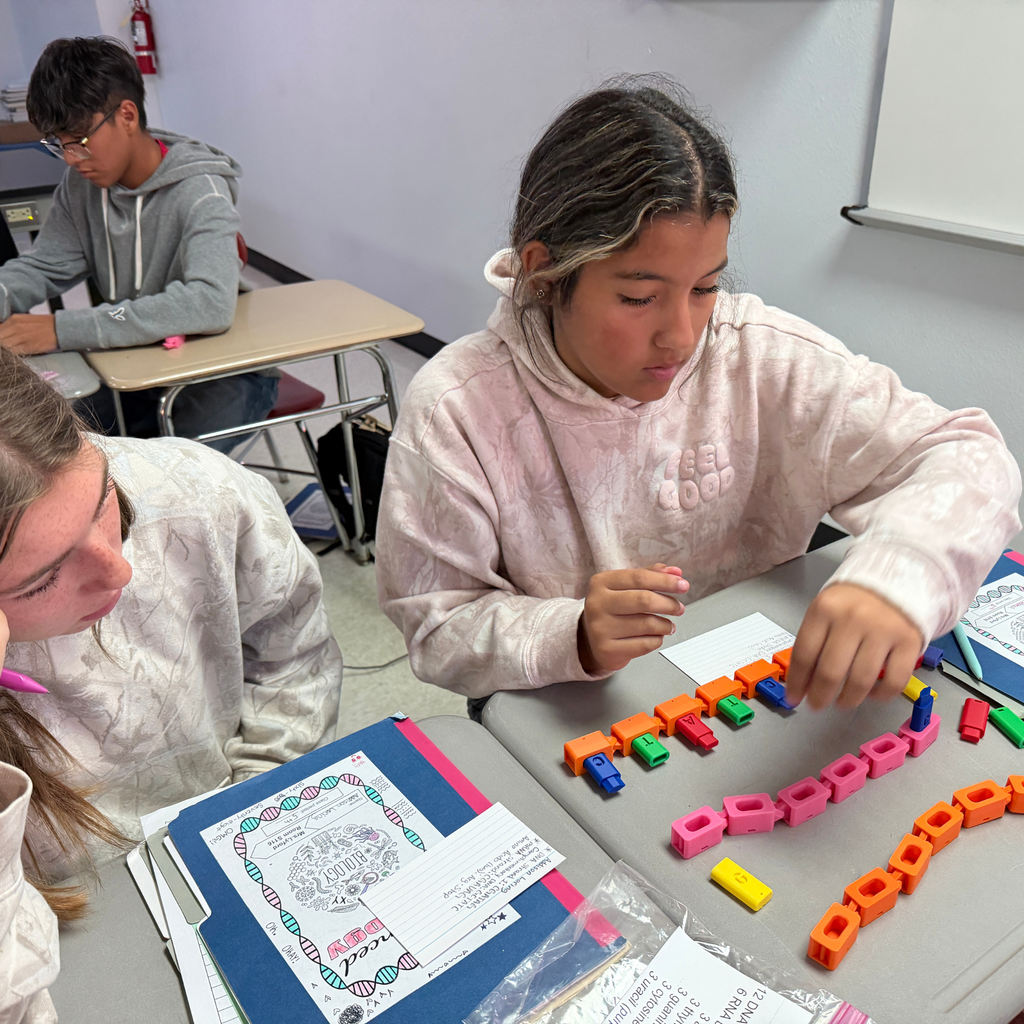Two high school students sit side-by-side at a classroom desk, collaboratively working with colorful 3D-printed blocks and model pieces during a hands-on biology activity.