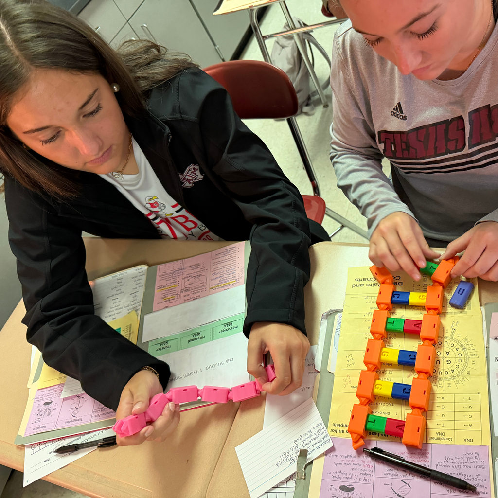 Two high school students sit side-by-side at a classroom desk, collaboratively working with colorful 3D-printed blocks and model pieces during a hands-on biology activity.