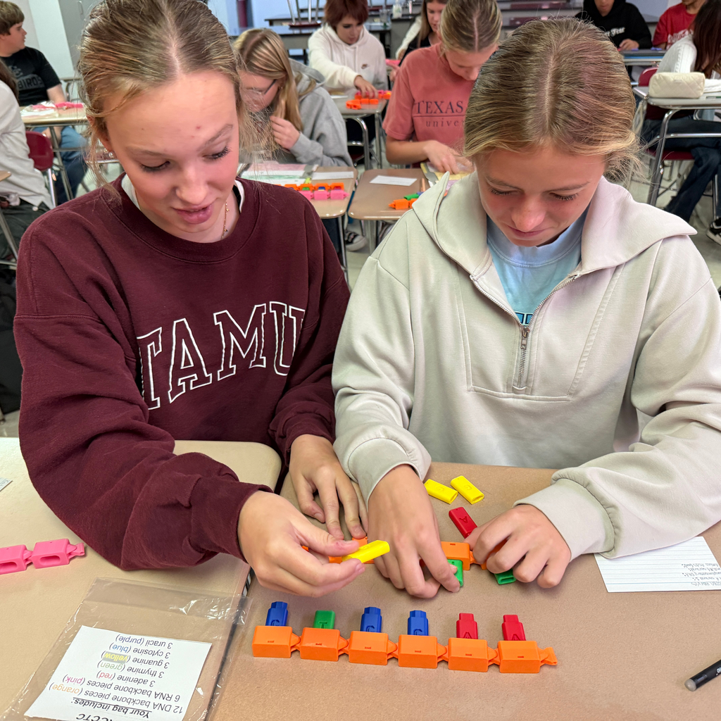 Two high school students sit side-by-side at a classroom desk, collaboratively working with colorful 3D-printed blocks and model pieces during a hands-on biology activity.