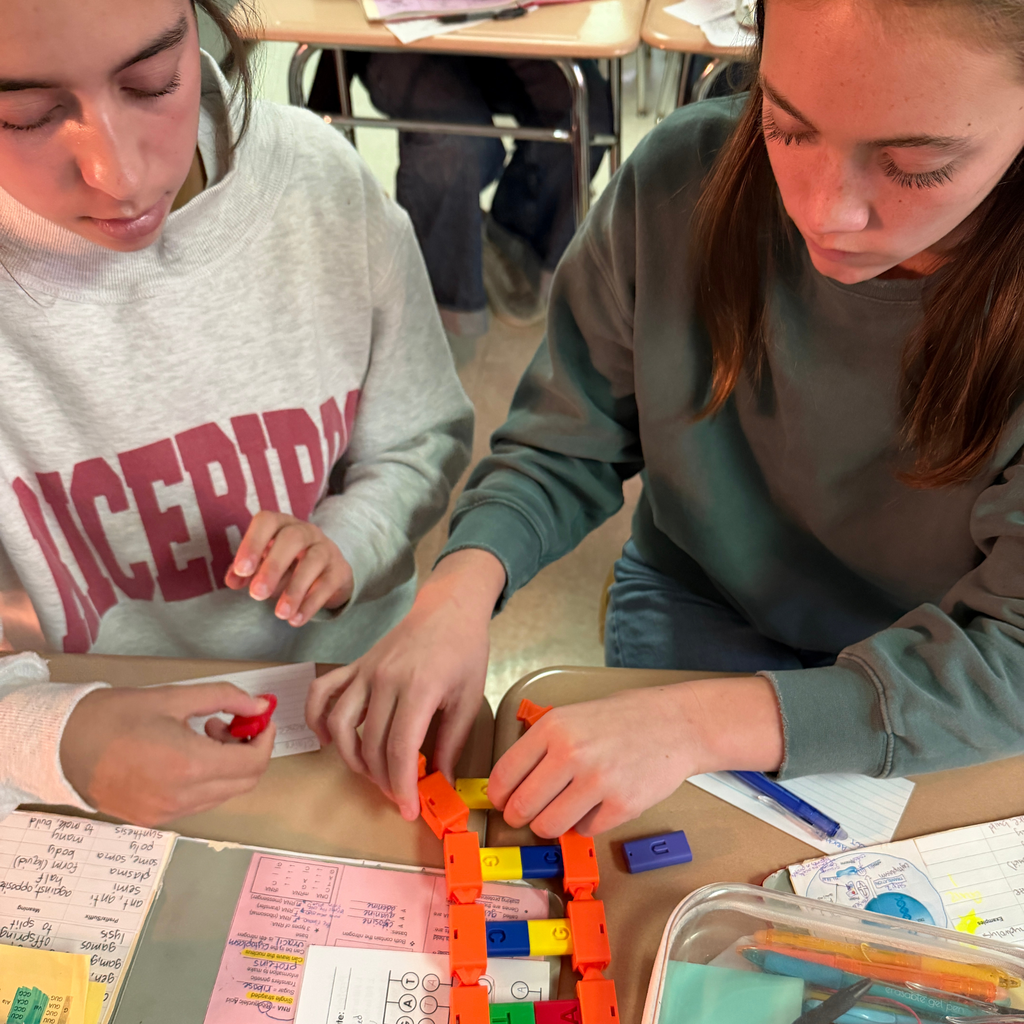 Two high school students sit side-by-side at a classroom desk, collaboratively working with colorful 3D-printed blocks and model pieces during a hands-on biology activity.