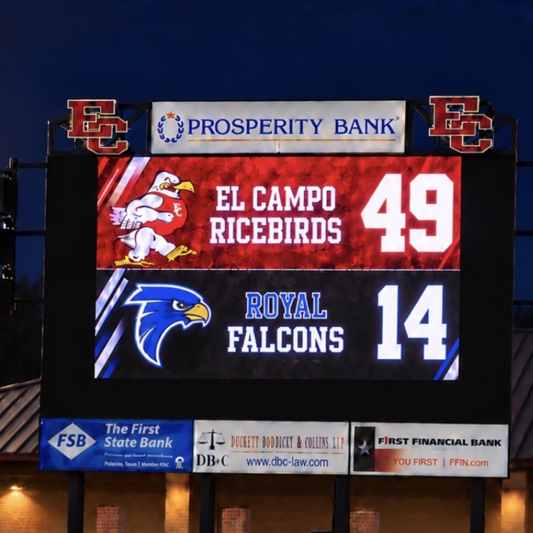 Ricebirds 49 royal 14