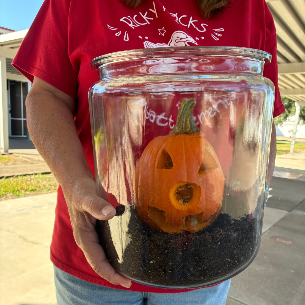 close up of the freshly carved pumpkin sitting on the dirt in the clear jar