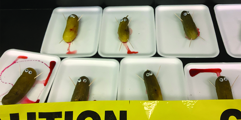 pickle autopsies