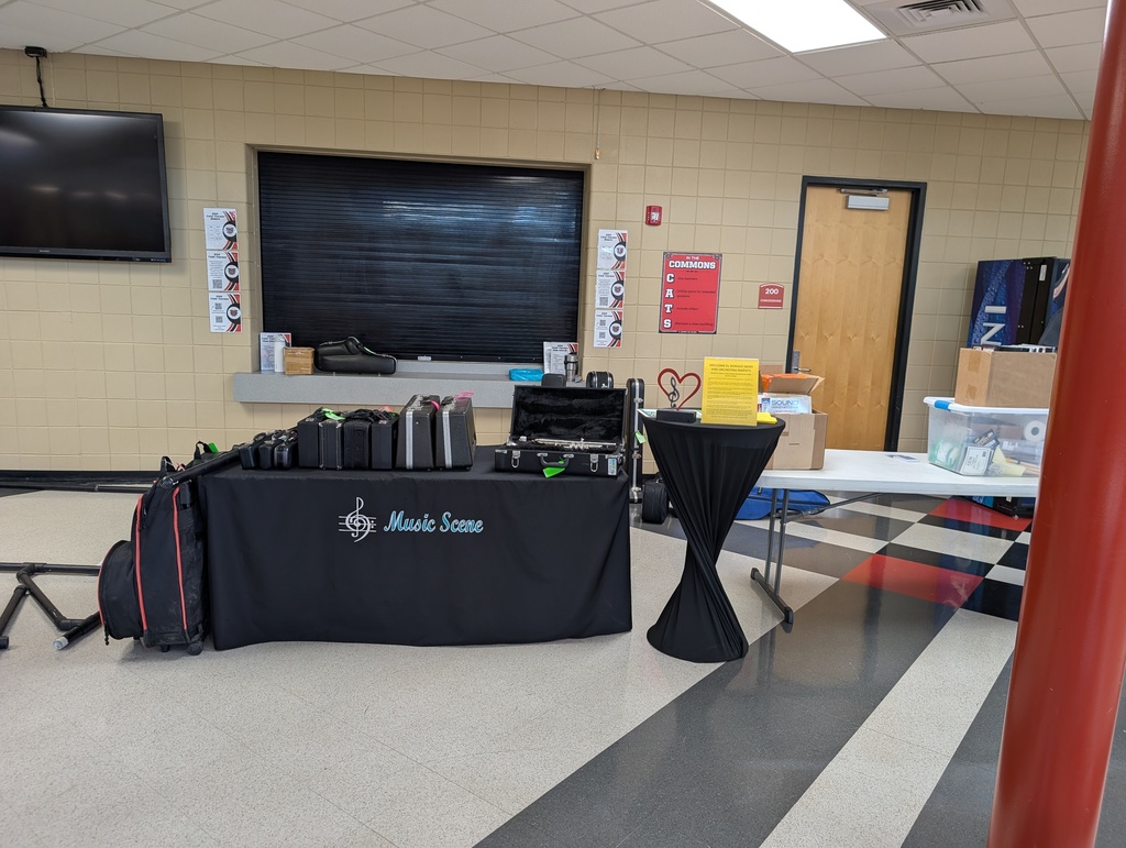 musical instrument display
