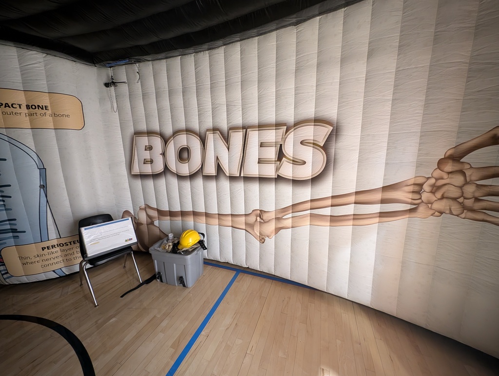 Body Venture