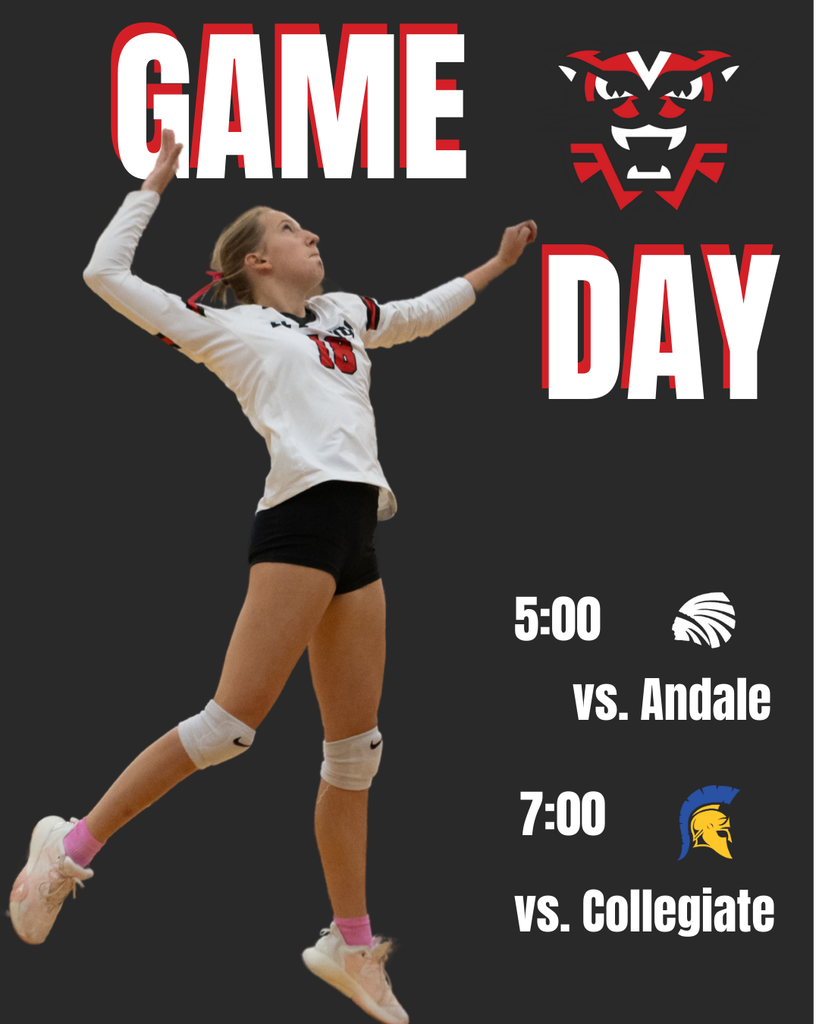 Game day for Volleyball graphic