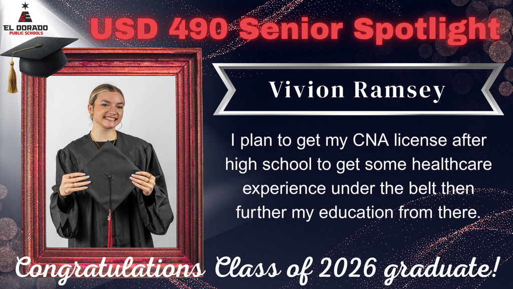 Vivion Ramsey