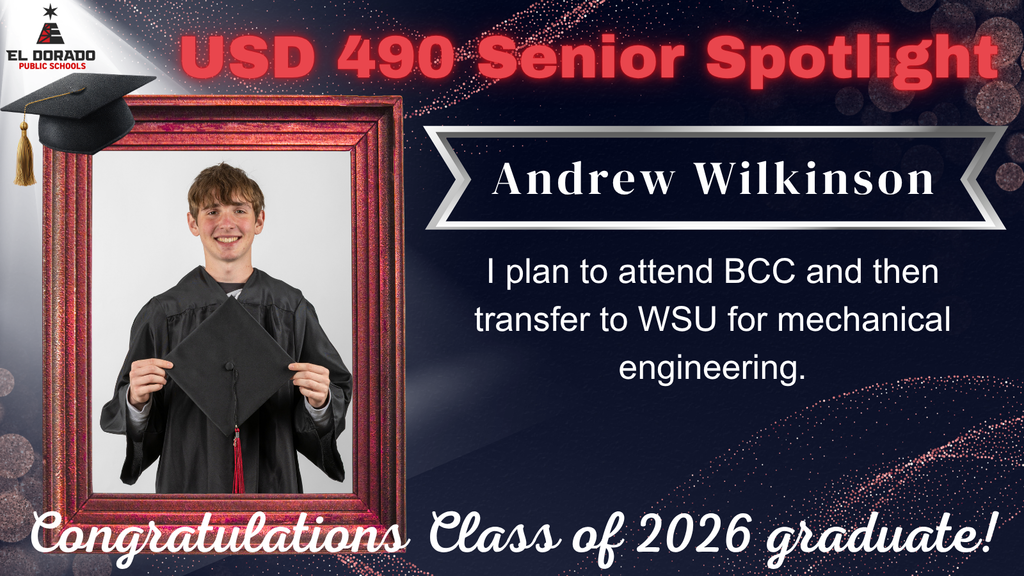 Andrew Wilkinson