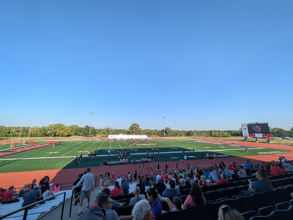 people seated in the stands and football players on a field