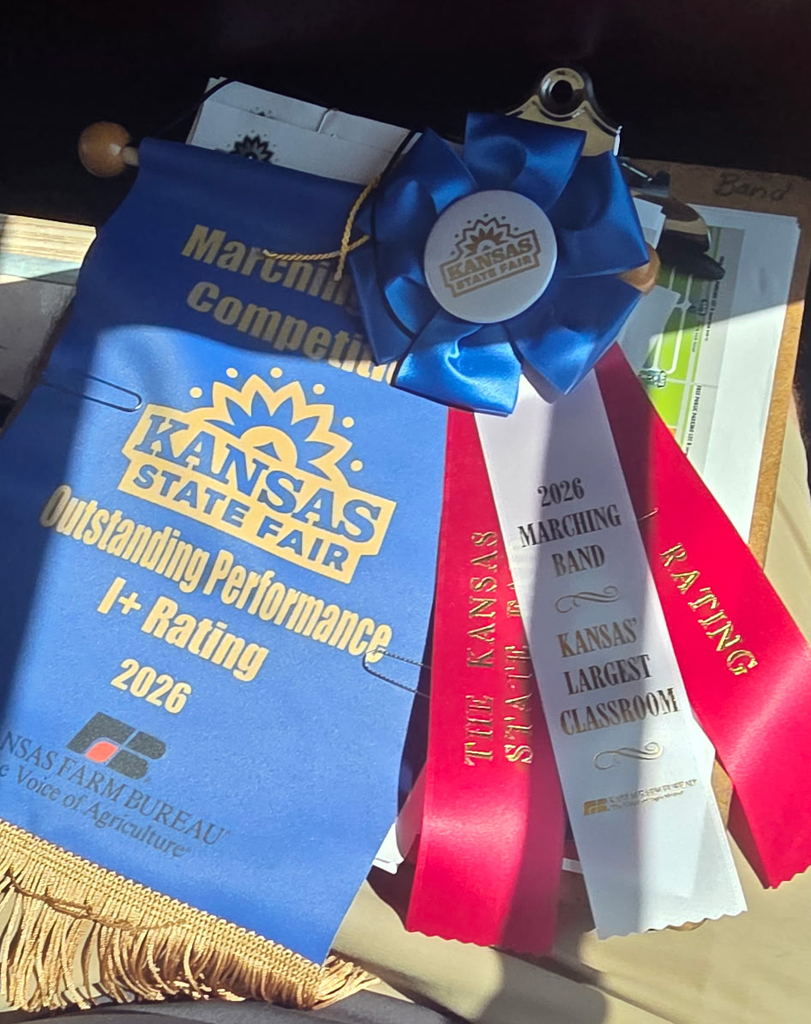 State Fair ribbons