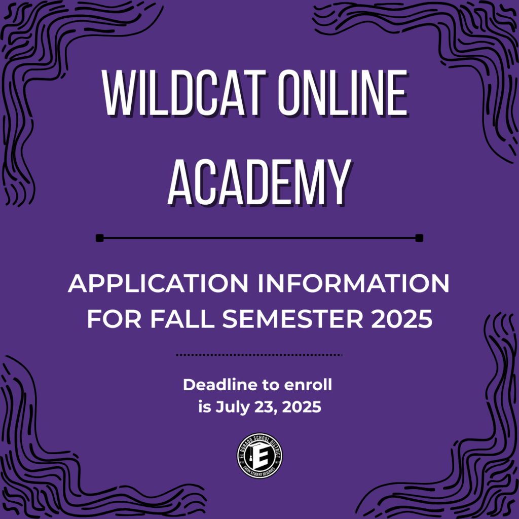 Enrollment open for wildcat online academy