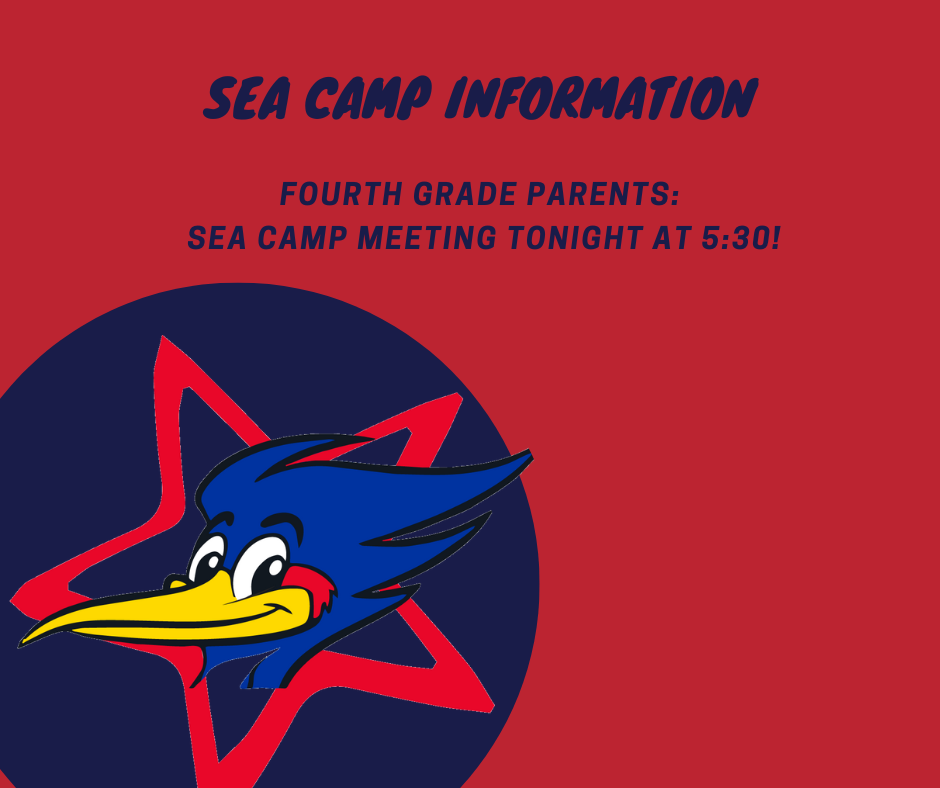 Sea Camp  Facebook Post