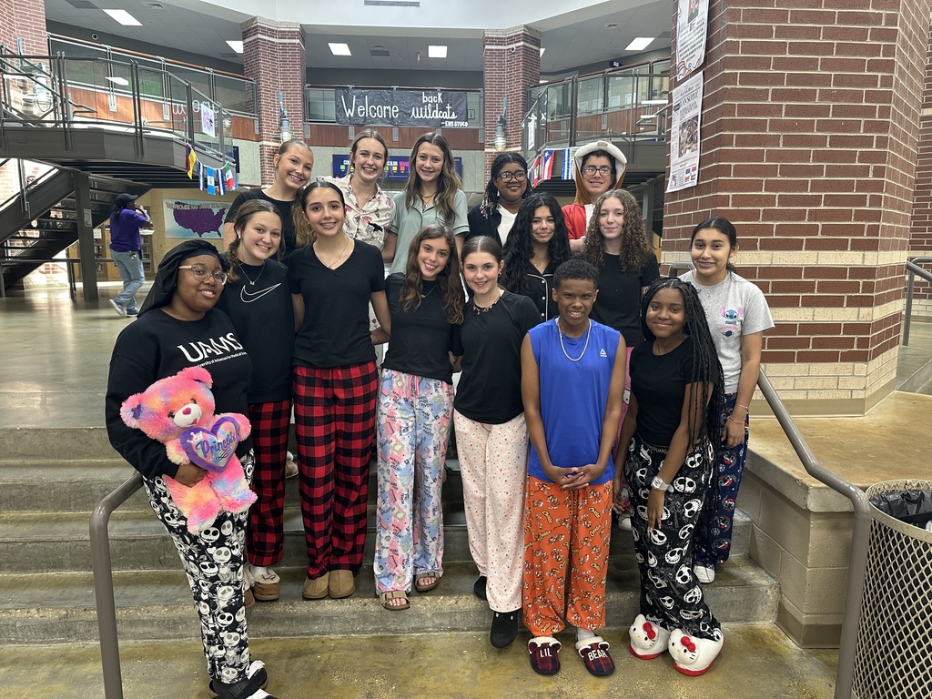 hoco pj day