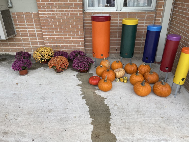 $10 Mums and $5 pumpkins