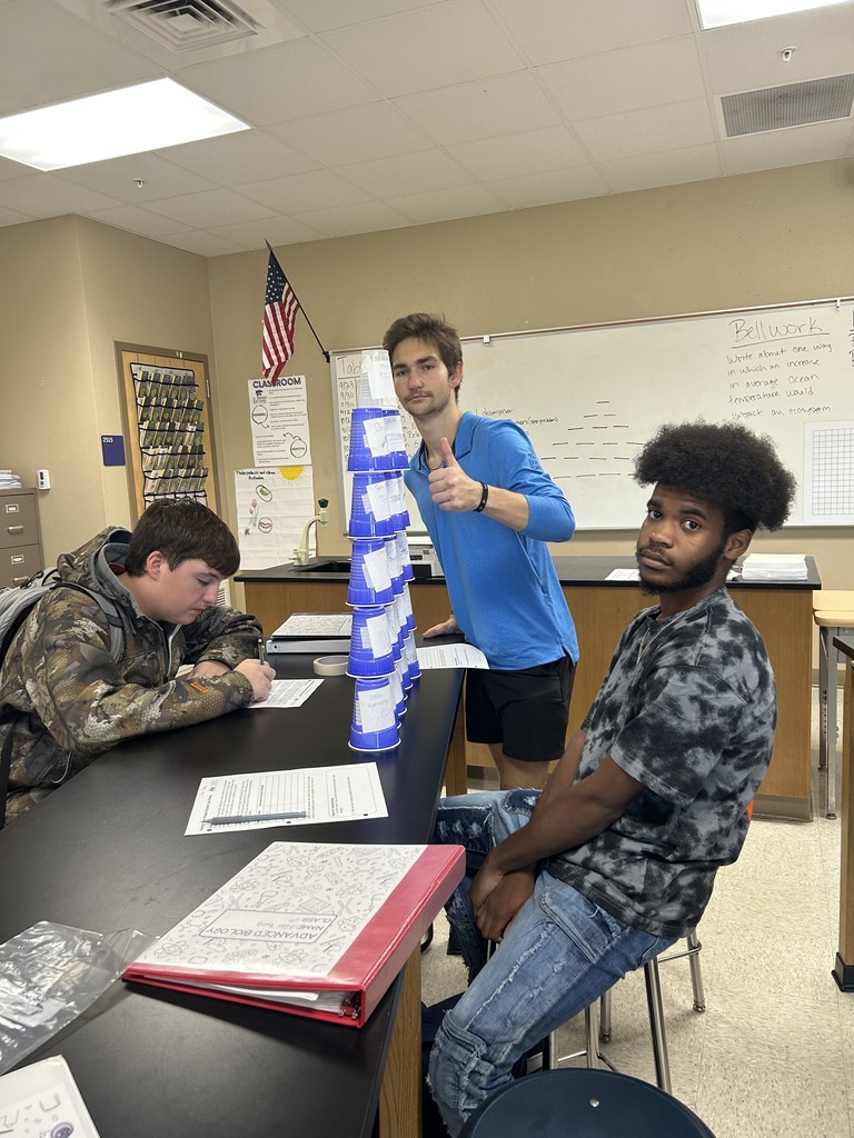 Mrs Chidester class project