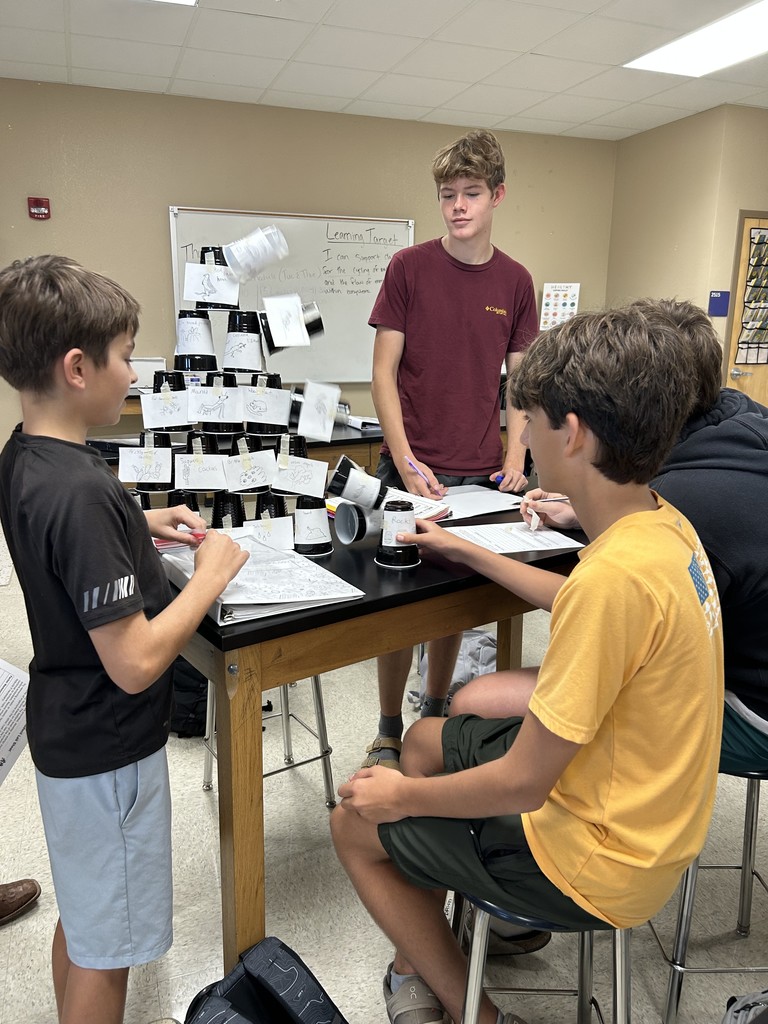 Mrs Chidester class project