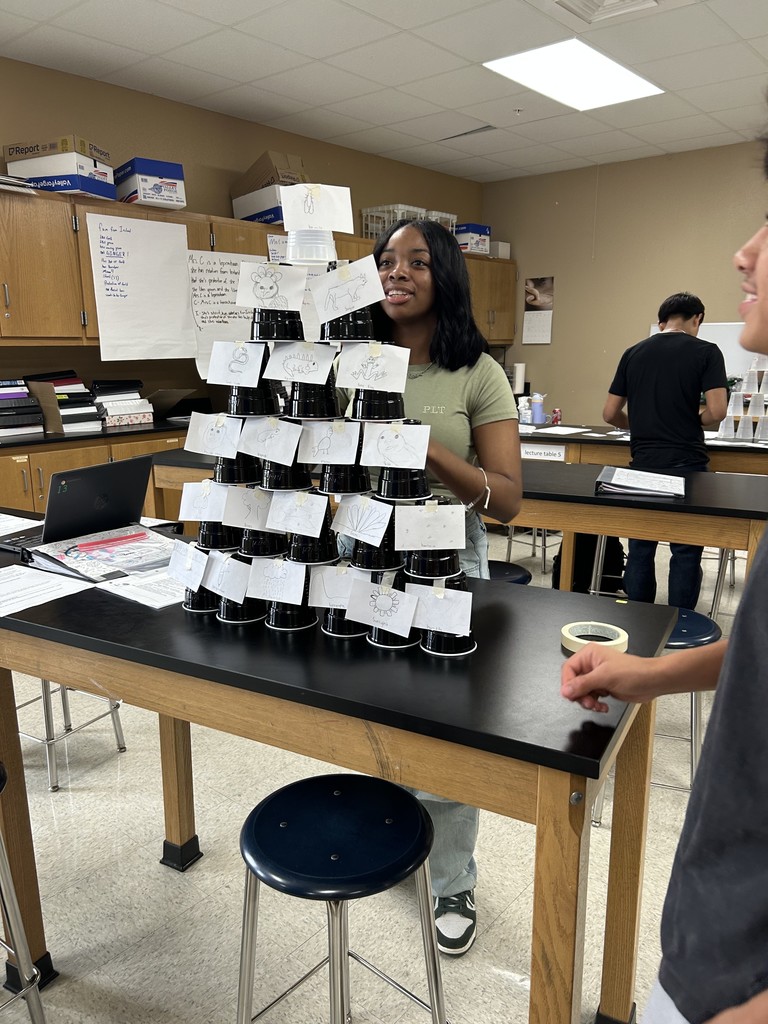 Mrs Chidester class project