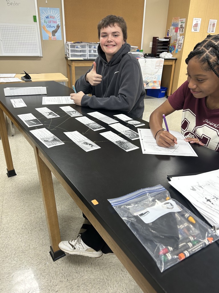 Mrs Chidester class project