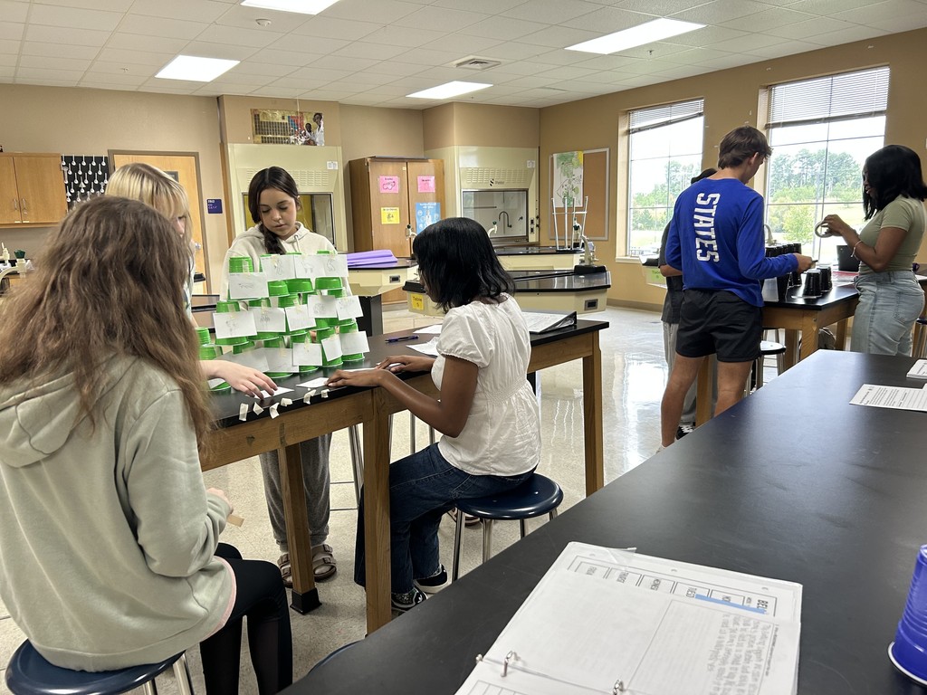 Mrs Chidester class project