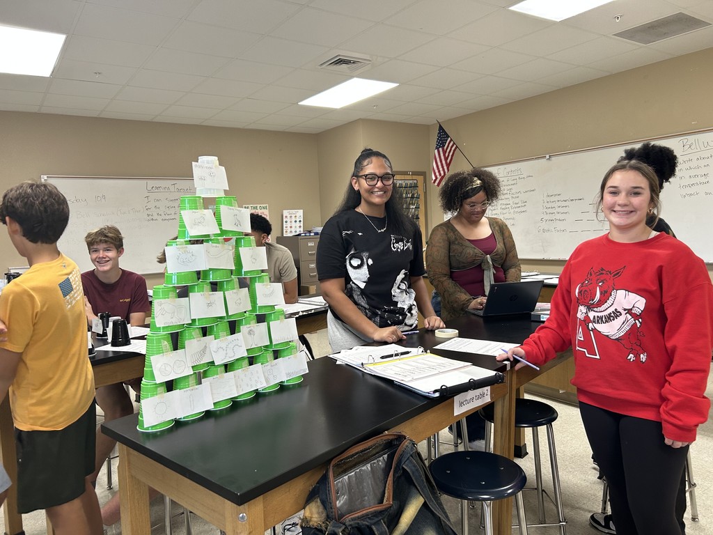 Mrs Chidester class project