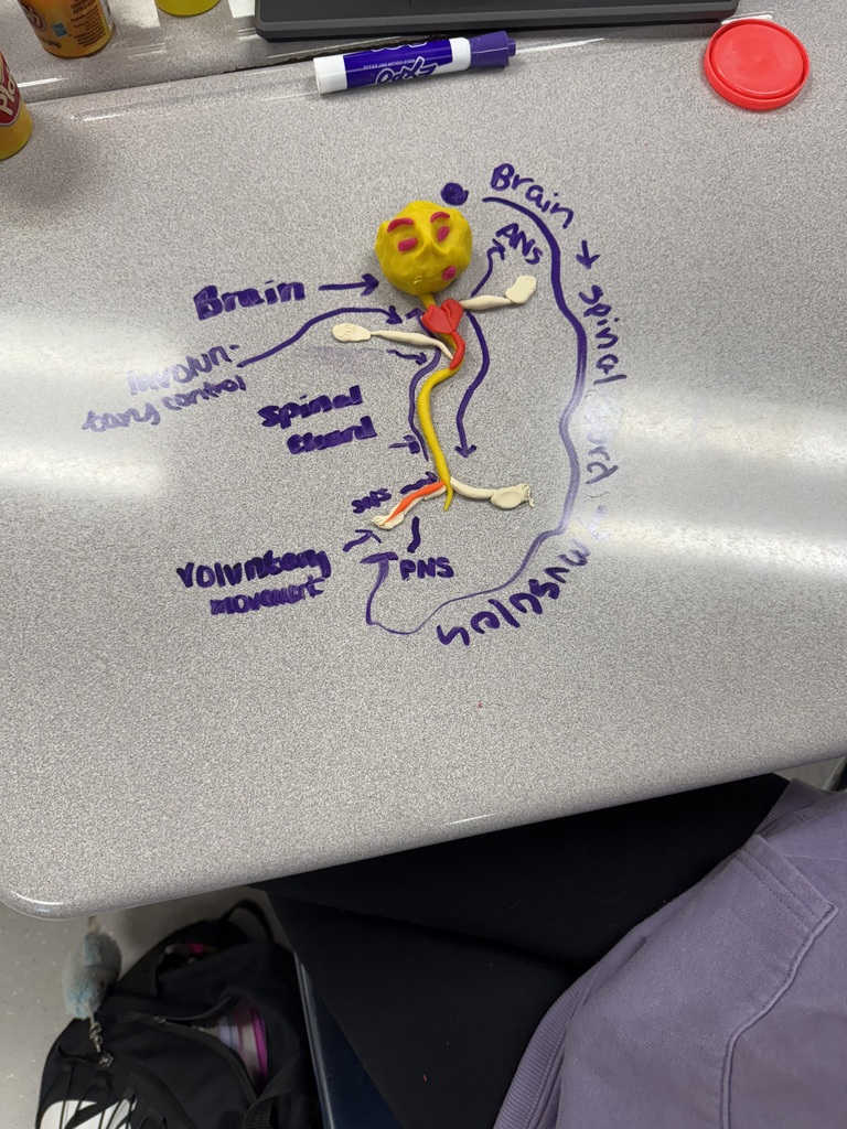 Coach Rice's play doh project