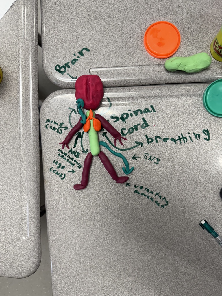 Coach Rice's play doh project