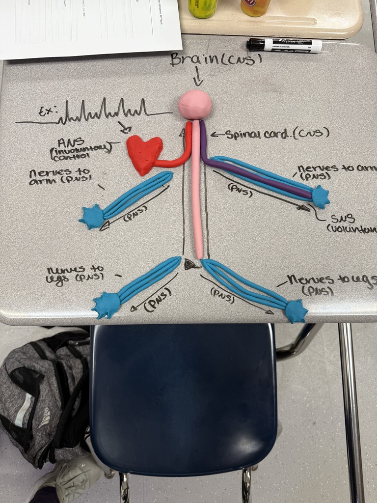 Coach Rice's play doh project
