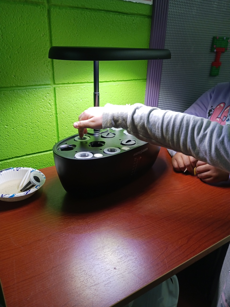 new hydroponics growing system