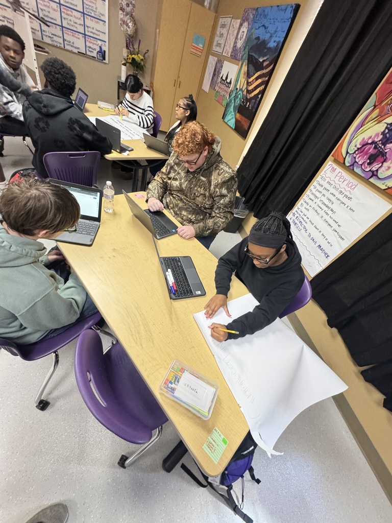 Mr Sanford's goverment class projects.