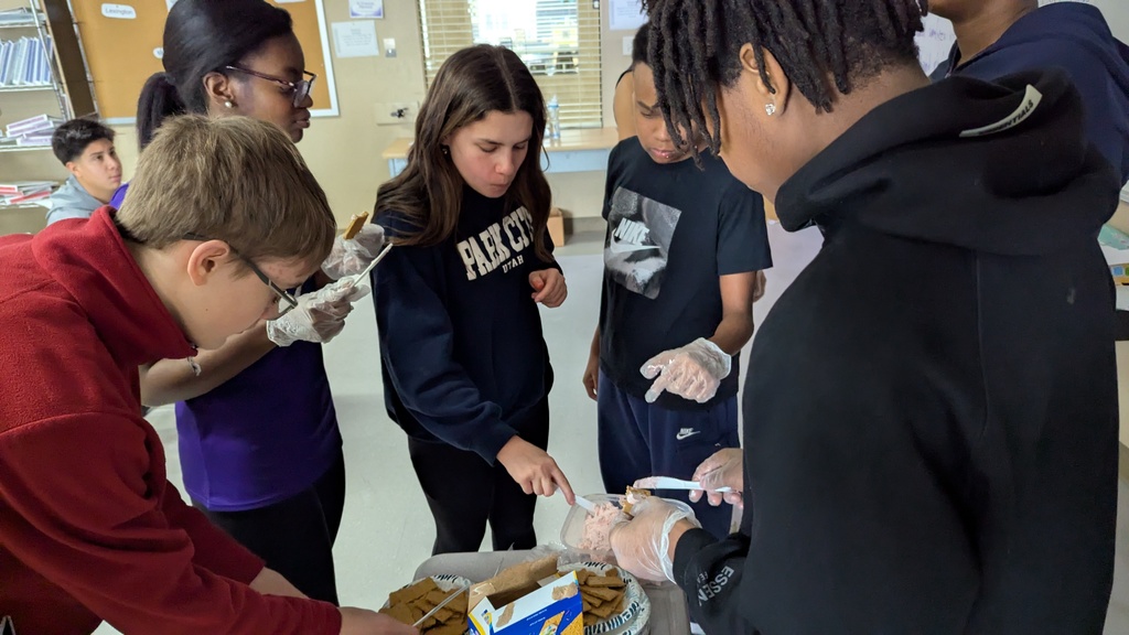 Mr Newmans club day activities