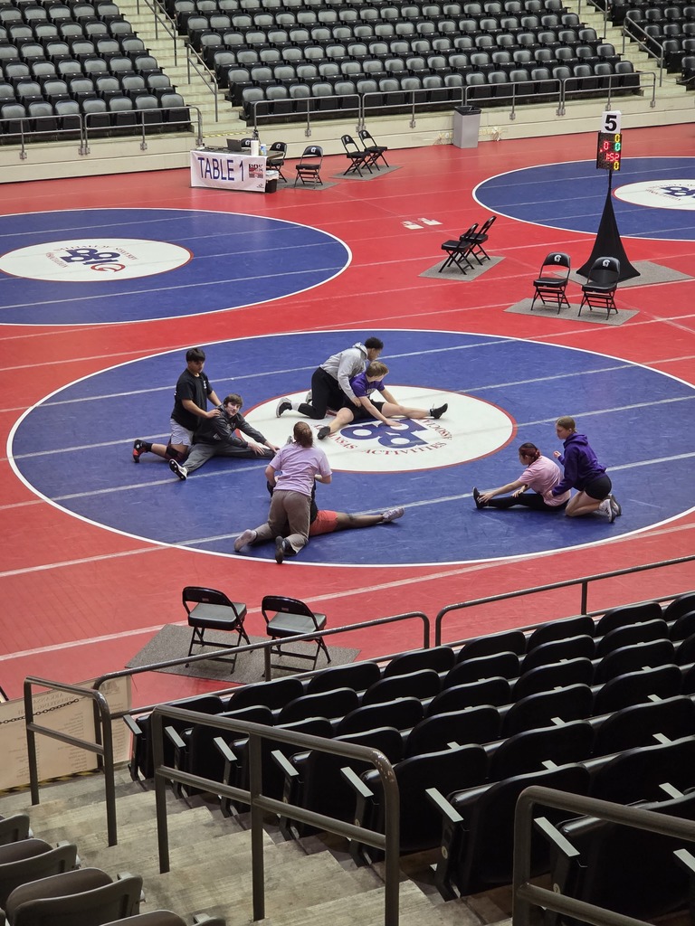 state wrestling tournament