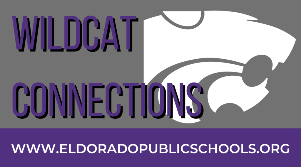 wildcat connections