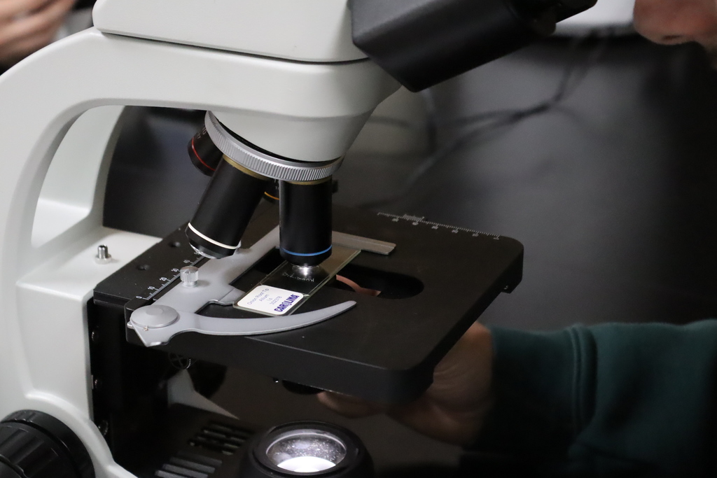 AP BIO MICROSCOPE LAB