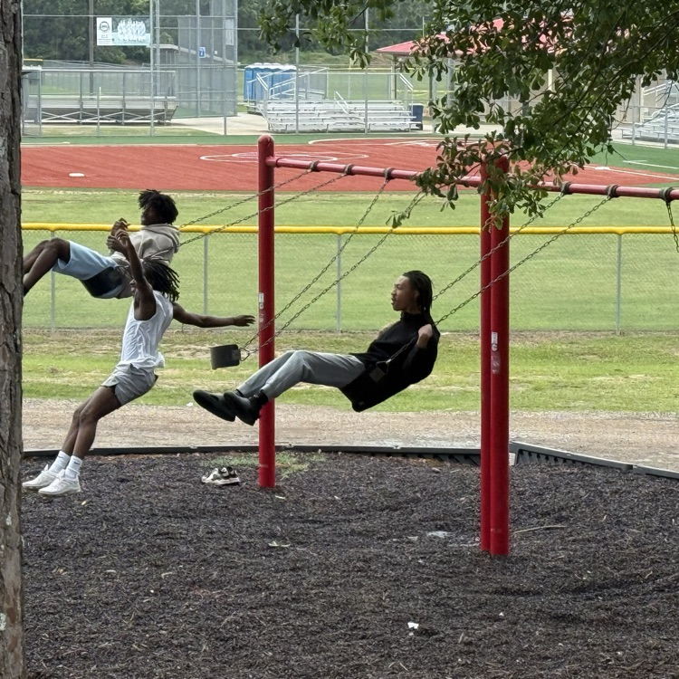 2026 senior picnic 