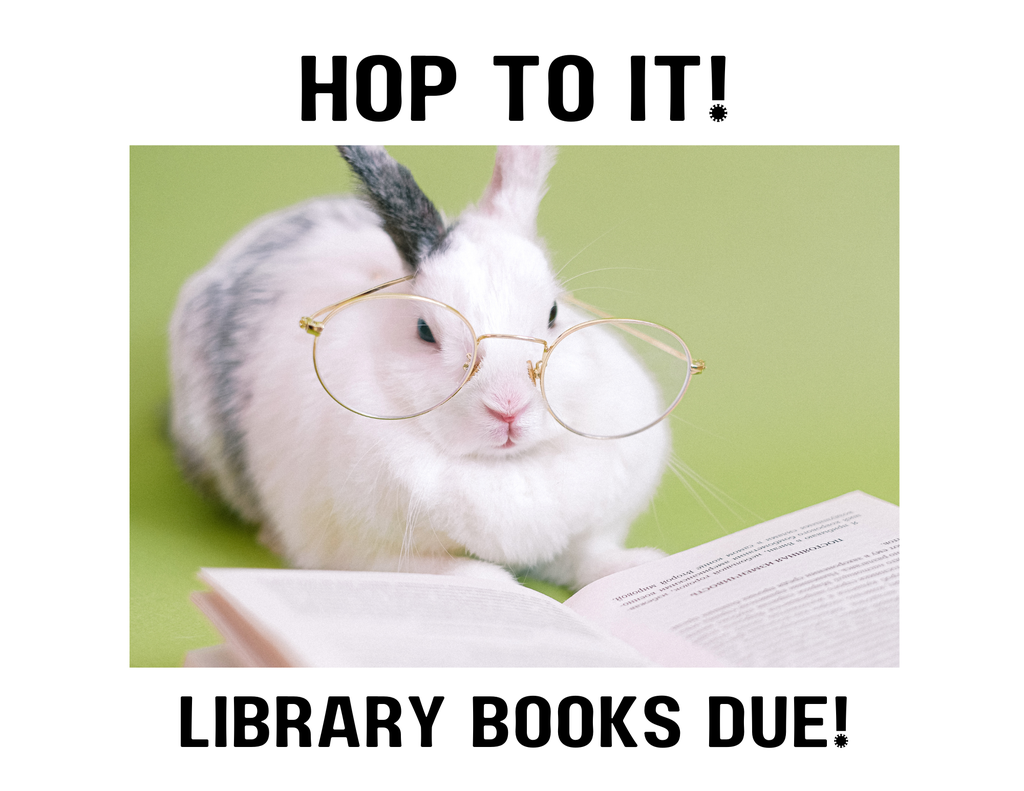 Library books due