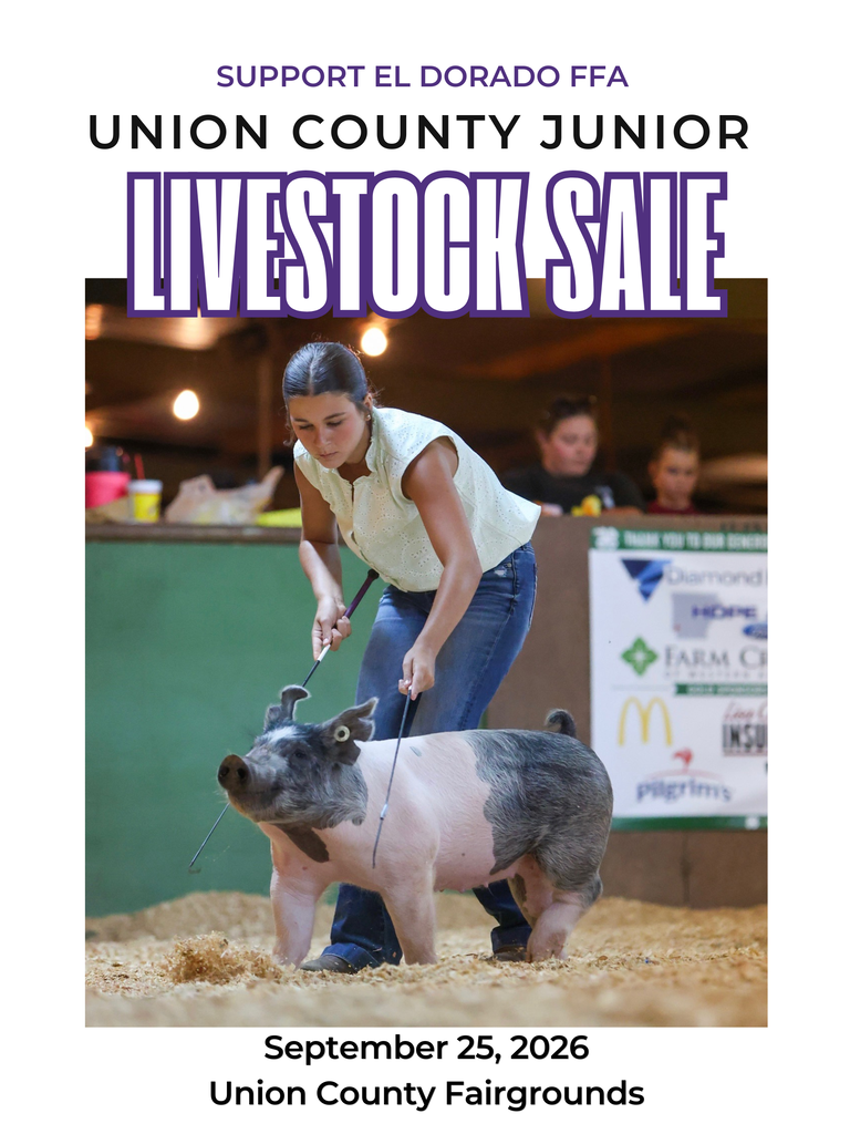 Graphic promoting a Union County Junior Livestock Sale in support of El Dorado FFA. A student is shown grooming a black-and-white pig at a livestock show. The sale will be held September 25, 2026, at the Union County Fairgrounds.