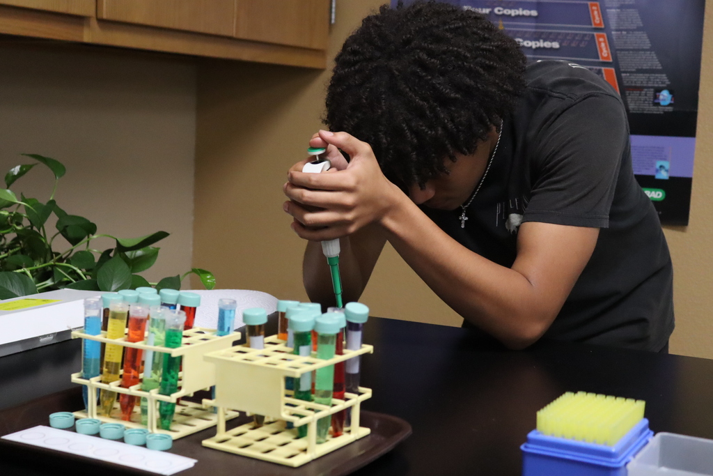 high school students use pipettes and colorful test tubes during a hands-on science lab activity in a classroom.