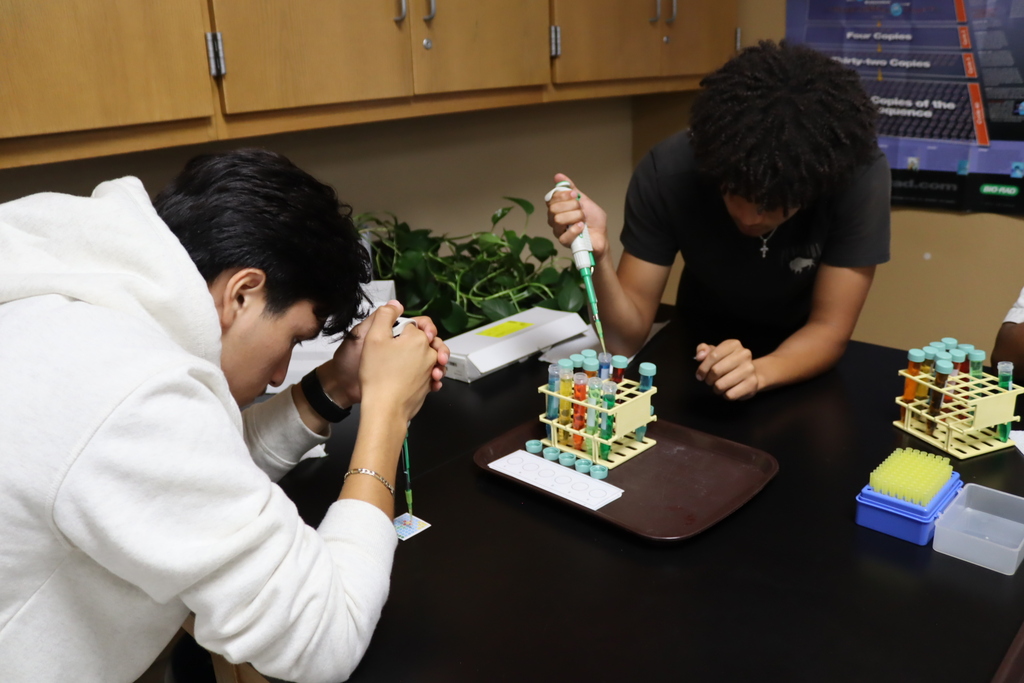 high school students use pipettes and colorful test tubes during a hands-on science lab activity in a classroom.