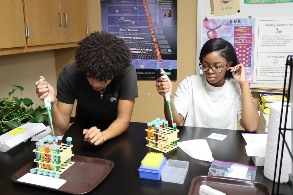 high school students use pipettes and colorful test tubes during a hands-on science lab activity in a classroom.